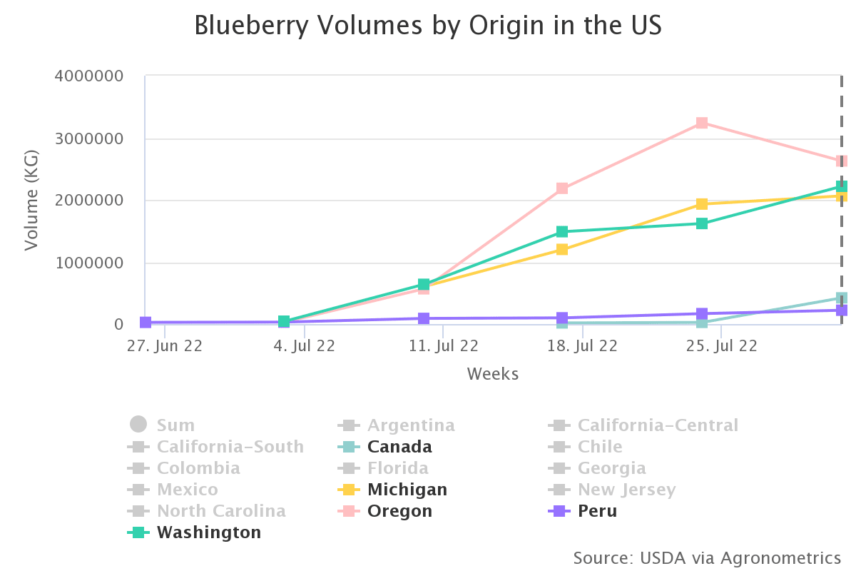 blueberry volumes by ori 38
